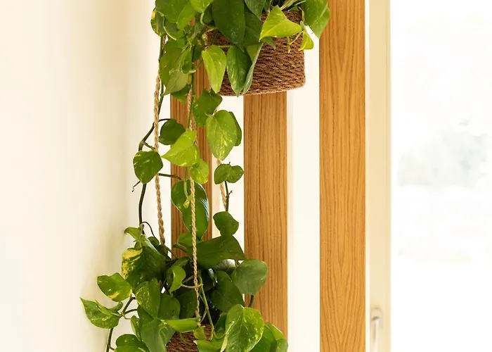 Costa Dorata Seaside Vila